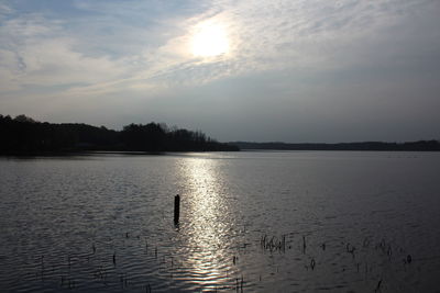 Swan swimming in lake against sky during sunset