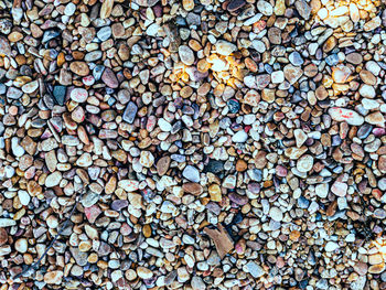Colección de piedras en la orilla de un arroyo 
