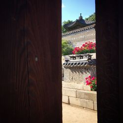 Flower plants against built structure