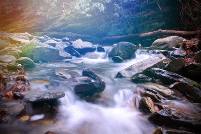 Scenic view of waterfall