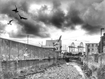 Airplane flying over bridge against sky