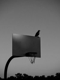 Low angle view of basketball hoop against clear sky