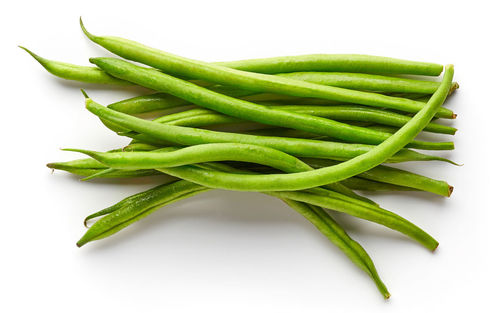 High angle view of green leaf on white background