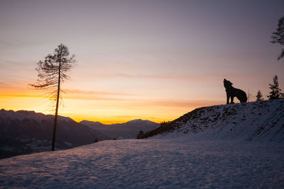 Silhouette people walking on snow covered landscape