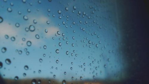 Close-up of water drops on leaf