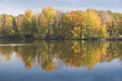 Reflection of trees in lake against sky during autumn