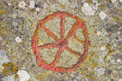 High angle view of multi colored rock on wall