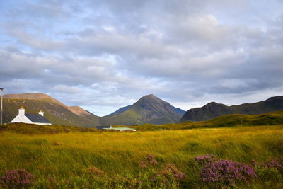 Scenic view of field against sky