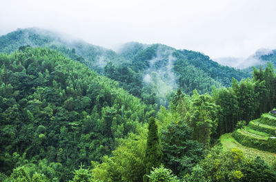 Scenic view of green mountains against sky