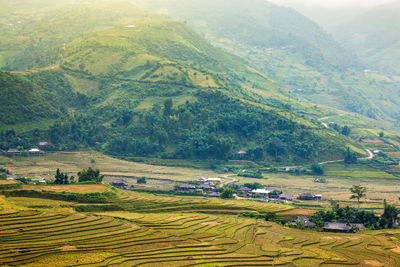 High angle view of agricultural field