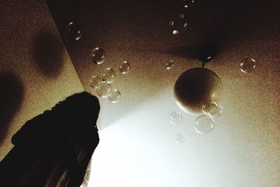 Reflection of trees in water