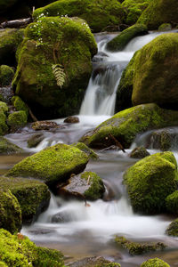 Scenic view of waterfall