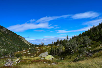 Scenic view of landscape against blue sky