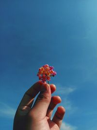 Cropped hand holding beautiful flower