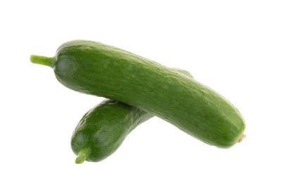 High angle view of leaf against white background