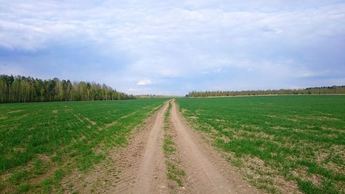 Road passing through field