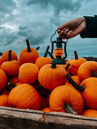 Low angle view of pumpkins on street against orange sky