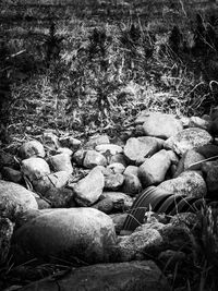 Rocks in sea