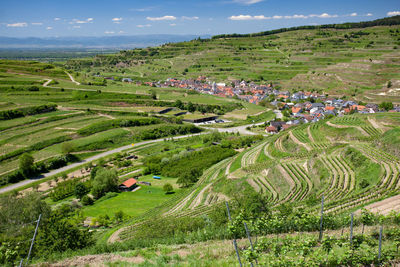 High angle view of agricultural field against sky