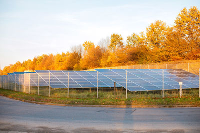 Ecology electric energy farm. solar panels in autumn landscape. alternative energy.