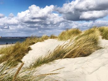 Close-up of sand on beach against sky