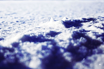 Close-up of snow on land