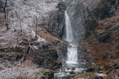 Waterfall in forest