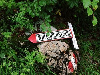 Close-up of information sign on wall