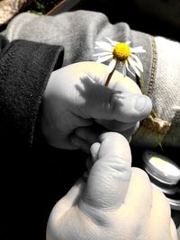 Close-up of hand holding flower