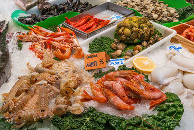 Fresh seafood for sale at a market in barcelona