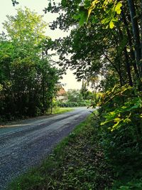Road amidst trees against sky