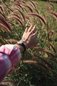 Midsection of woman touching plants on field