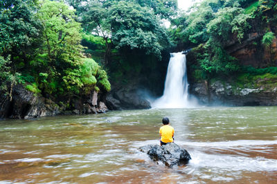 Scenic view of waterfall in forest