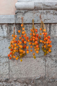 Close-up of orange fruits hanging on wall