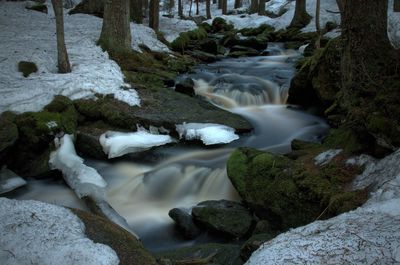 Stream flowing through rocks in forest