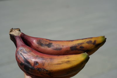 Close-up of fruit against white background