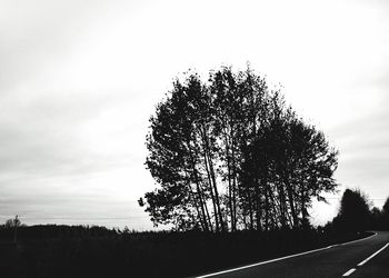 Silhouette tree against sky