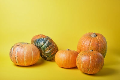 Close-up of pumpkins on table against yellow background