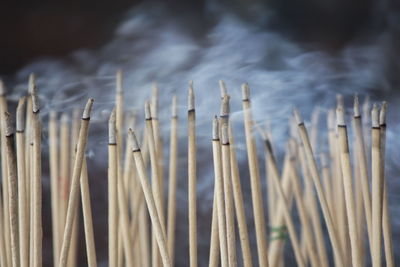 The incense burned to worship the buddha and the sacred.