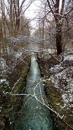 Bare trees by river in forest against sky