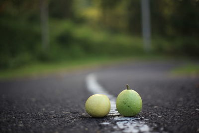 Close-up of fruits growing on road