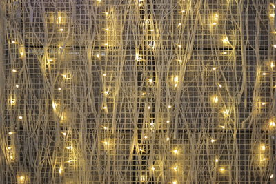 Full frame shot of illuminated lights