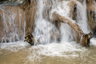 Dunn's river falls.