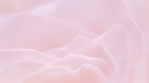 Full frame shot of wedding rings