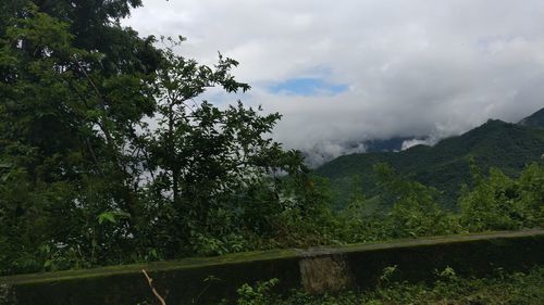 Scenic view of tree mountains against sky