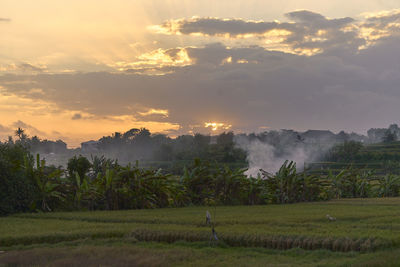 Scenic view of field against sky during sunset