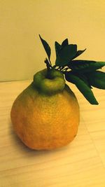 Close-up of fruit on table