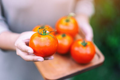 Close-up of hand holding orange