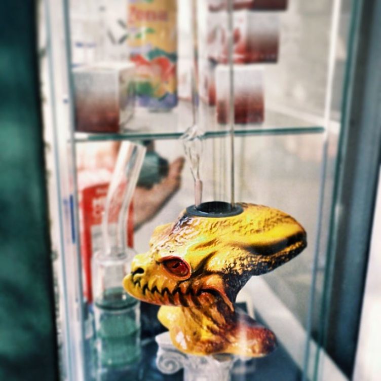 indoors, focus on foreground, close-up, glass - material, yellow, animal themes, one animal, selective focus, window, transparent, no people, day, reflection, table, home interior, still life, glass, animals in the wild, art and craft, metal