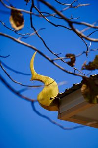 Low angle view of bird on branch against blue sky